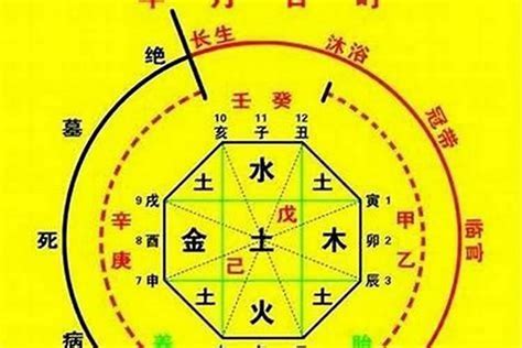 喜木火|八字入门基础 第六篇 如何判断八字喜用神